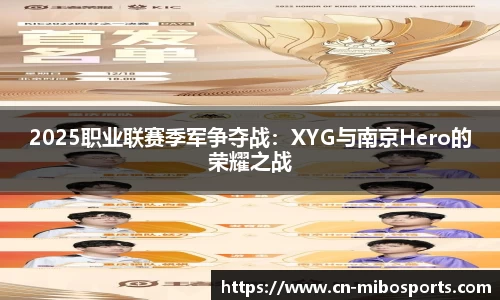 2025职业联赛季军争夺战：XYG与南京Hero的荣耀之战